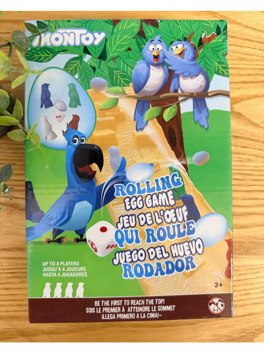 🌿10/$25 • Montoy Rolling Egg Game